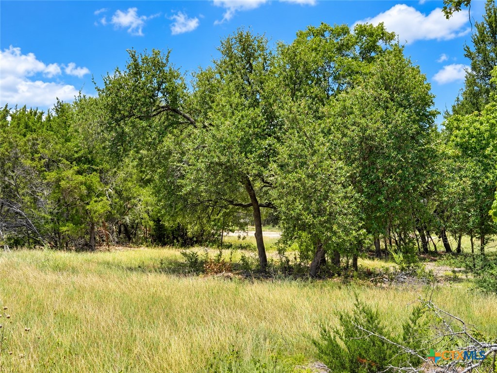 1220 Gannon Trail Property Photo 5