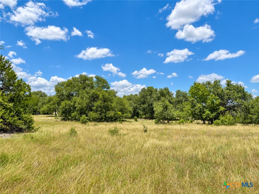 1220 Gannon Trail Property Photo 7