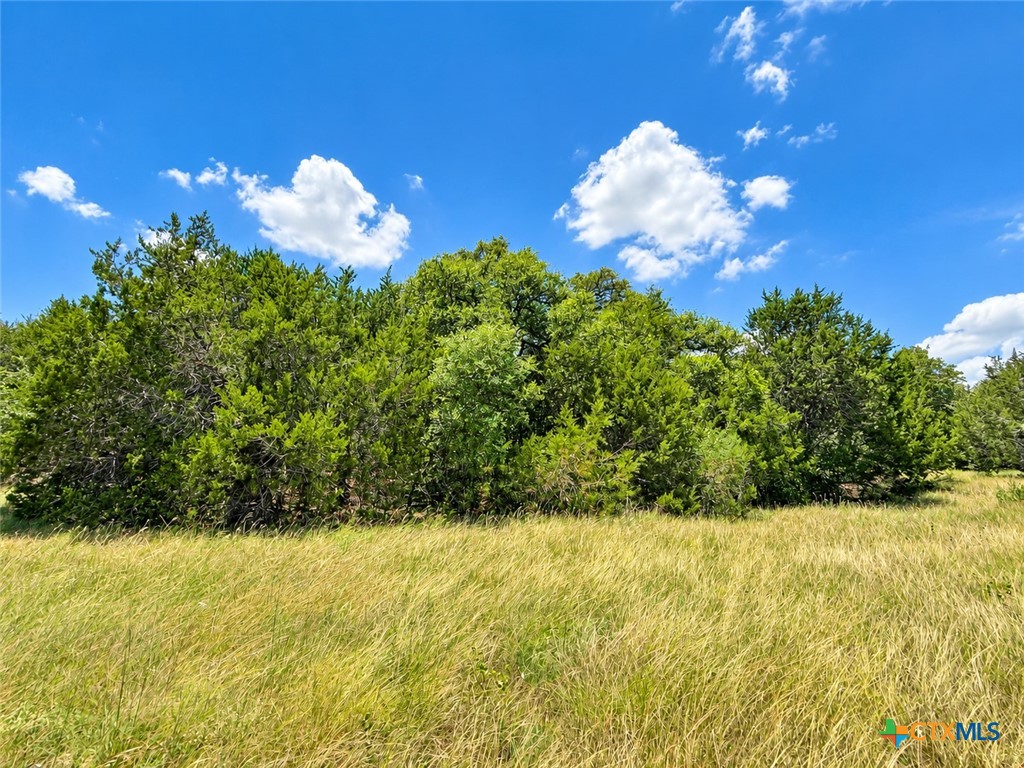 1220 Gannon Trail Property Photo 8