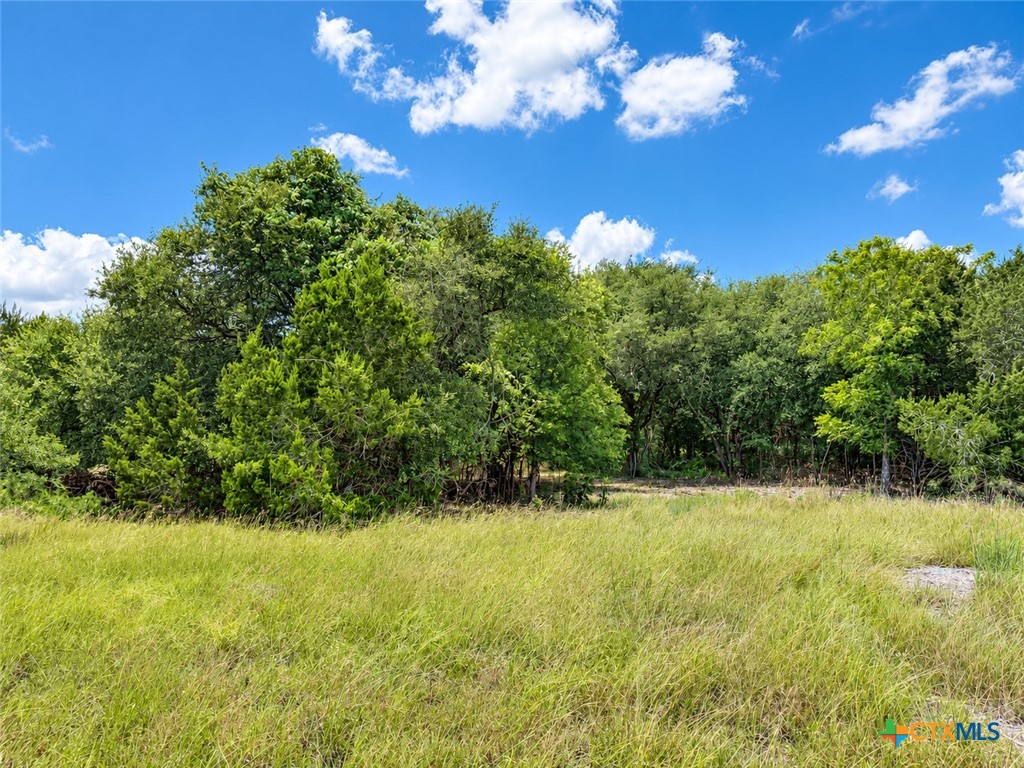 1220 Gannon Trail Property Photo 9