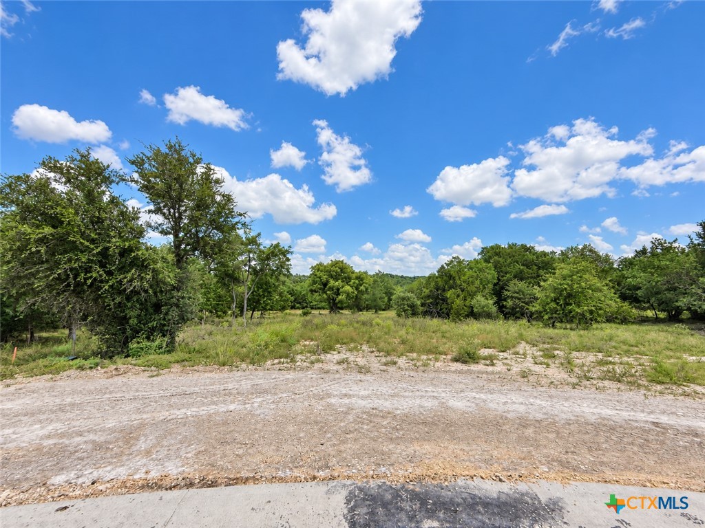 1238 Gannon Trail Property Photo 3
