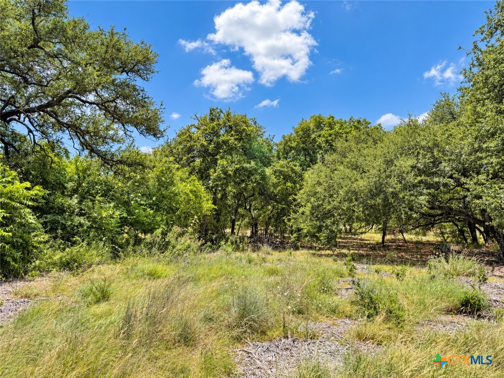 1238 Gannon Trail Property Photo 4