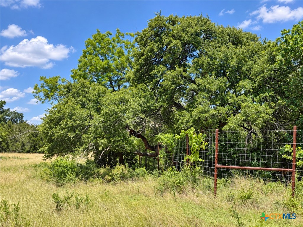 1238 Gannon Trail Property Photo 7