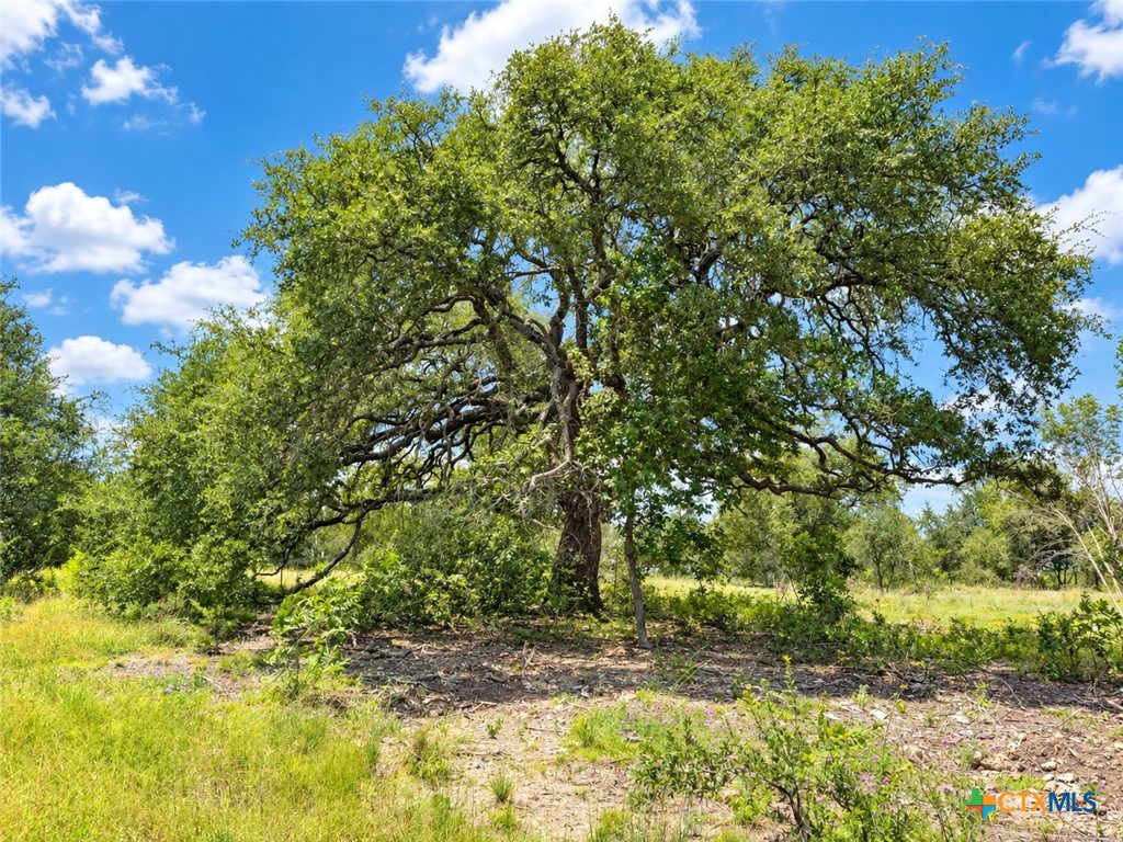 1219 Gannon Trail Property Photo 3