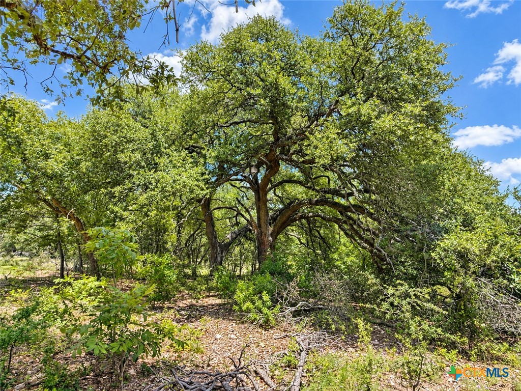 1219 Gannon Trail Property Photo 4