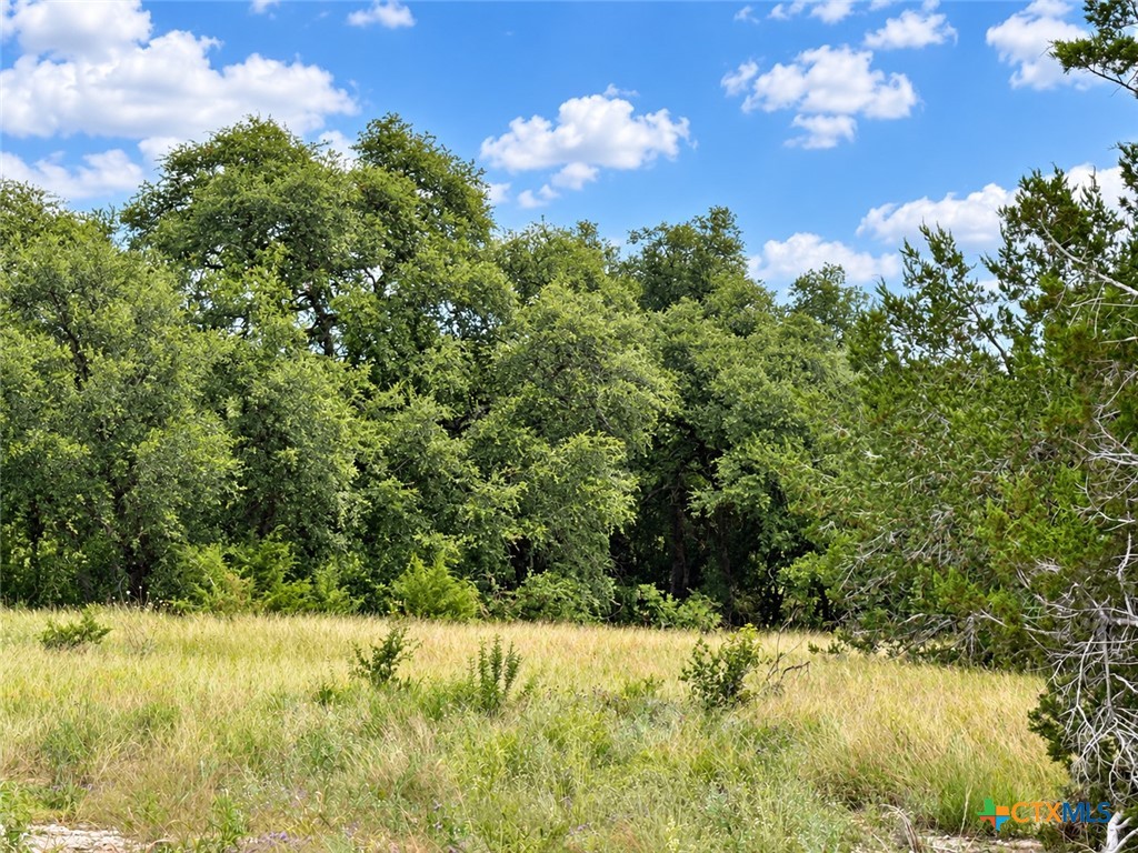 1219 Gannon Trail Property Photo 5