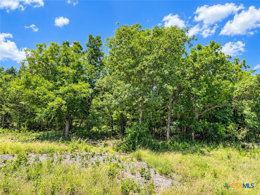 1219 Gannon Trail Property Photo 6