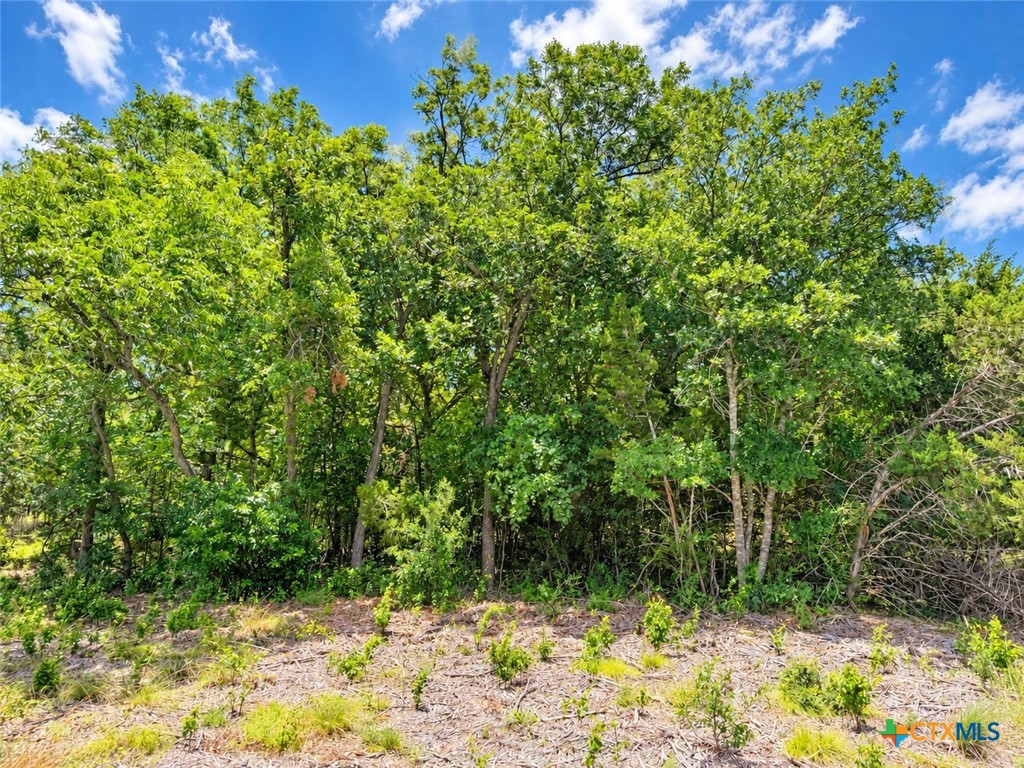 1219 Gannon Trail Property Photo 7