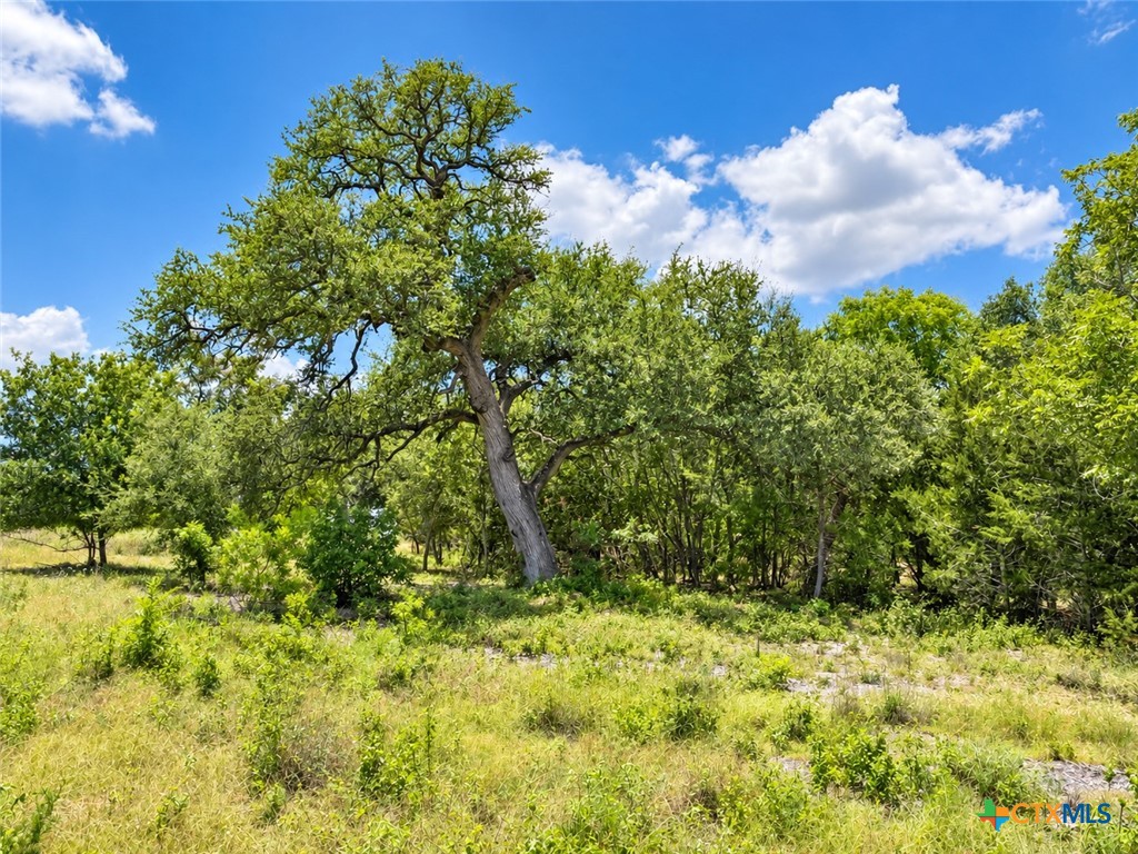 1219 Gannon Trail Property Photo 8