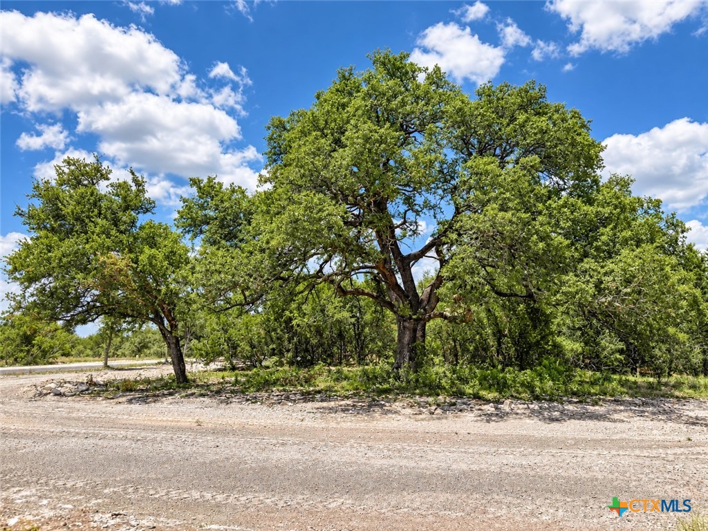 1201 Gannon Trail Property Photo 2