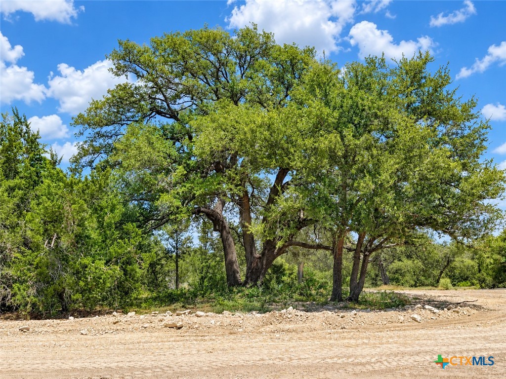 1201 Gannon Trail Property Photo 3