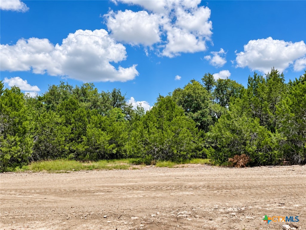 1201 Gannon Trail Property Photo 4