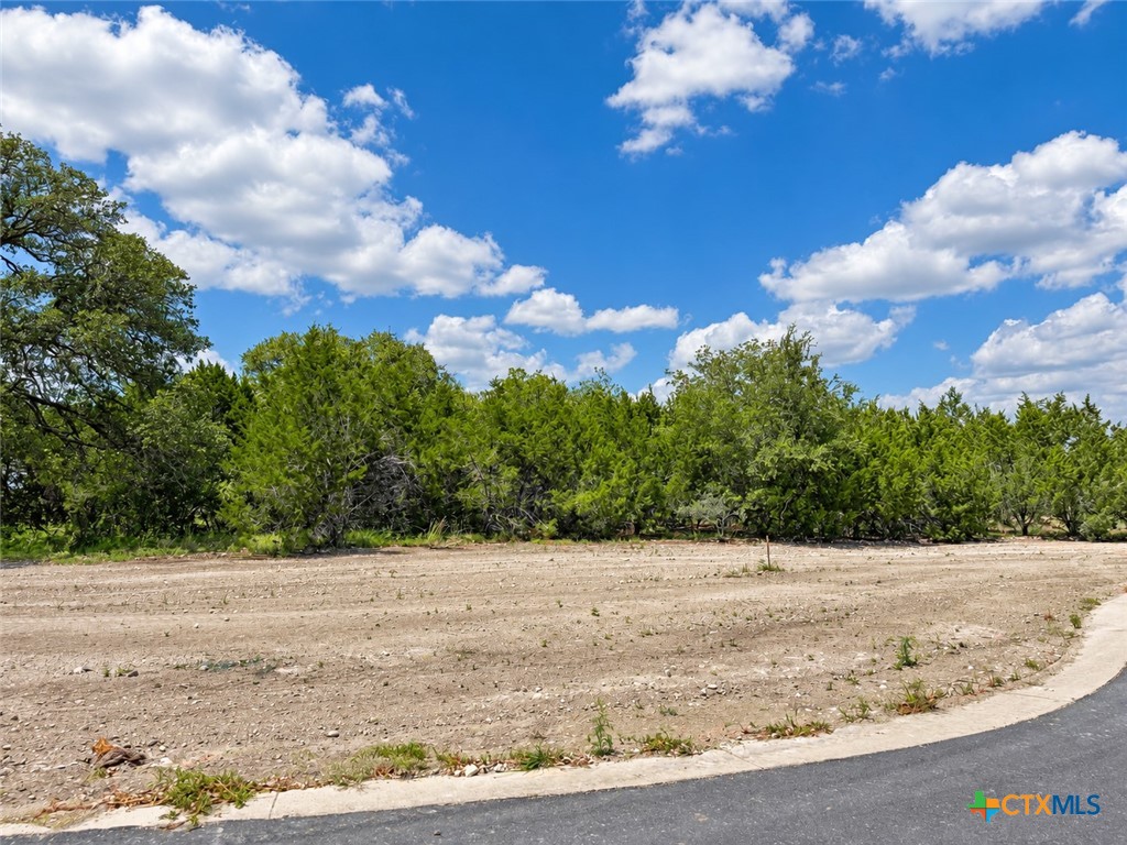 1201 Gannon Trail Property Photo 5