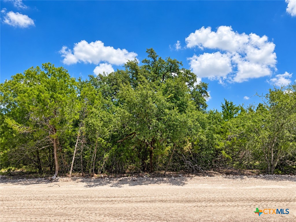 1201 Gannon Trail Property Photo 6