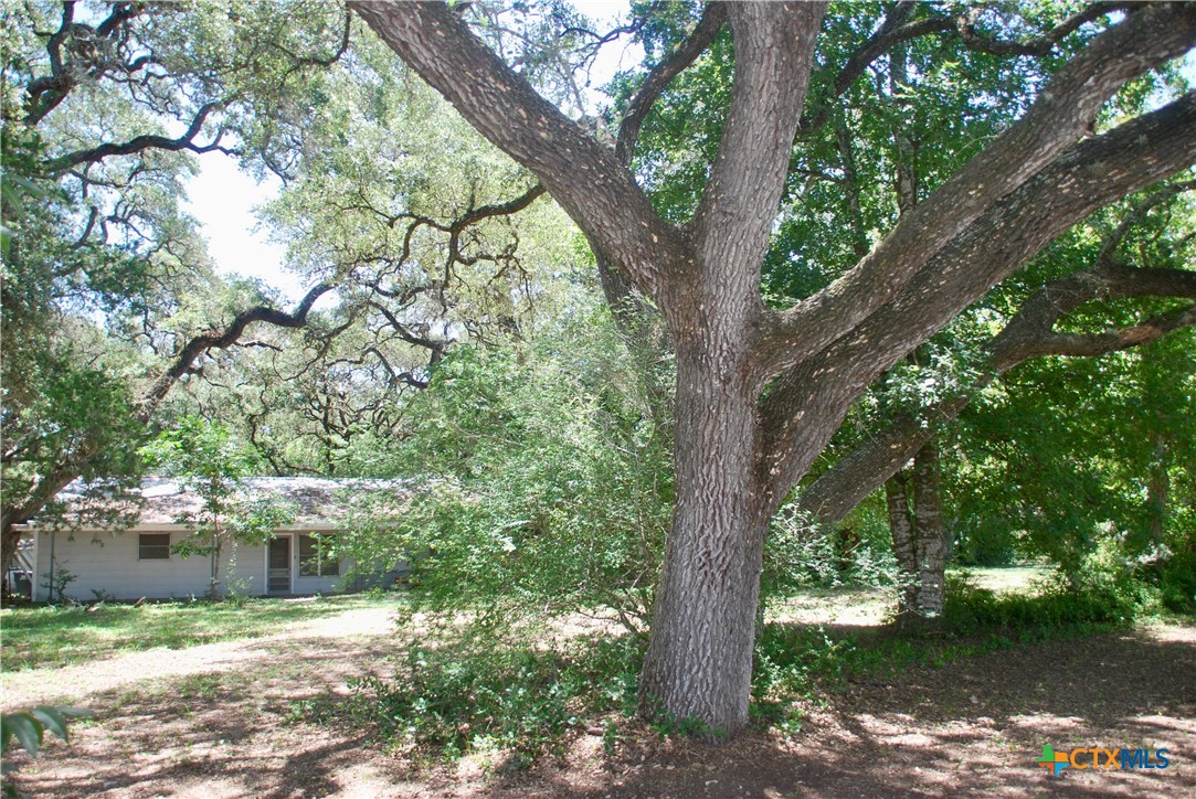 29 County Road 77b Property Photo 10