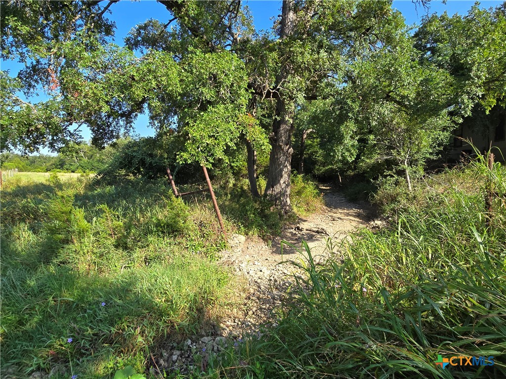 7980 E Us Highway 84 Highway Property Photo 5