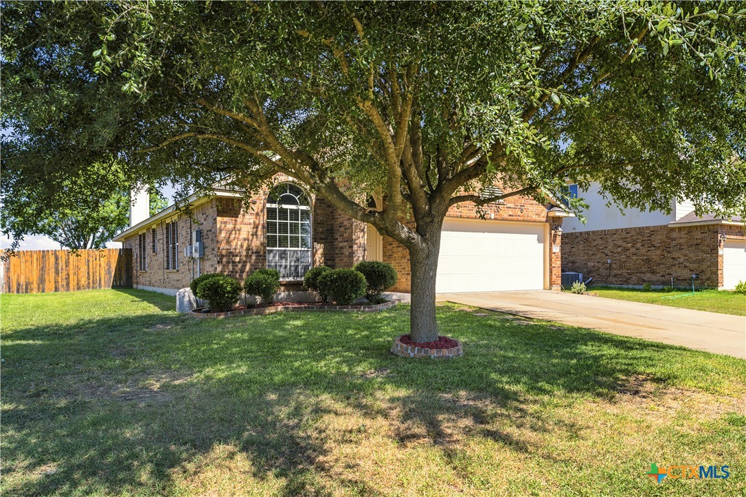 6541 Serena Lane Property Photo 37