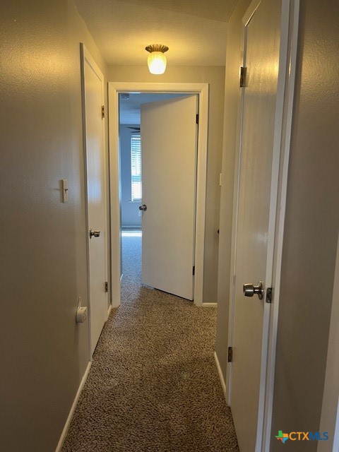 1306 Carnation Lane Property Photo 23