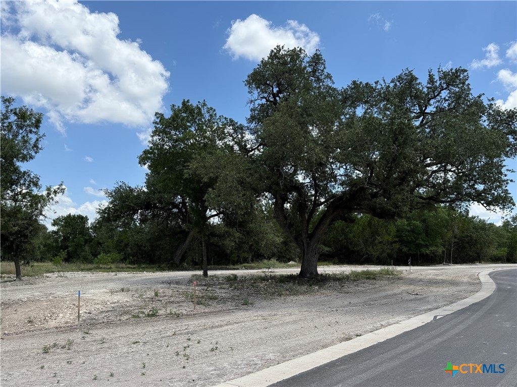 1182 Kenton Parkway Property Photo 2