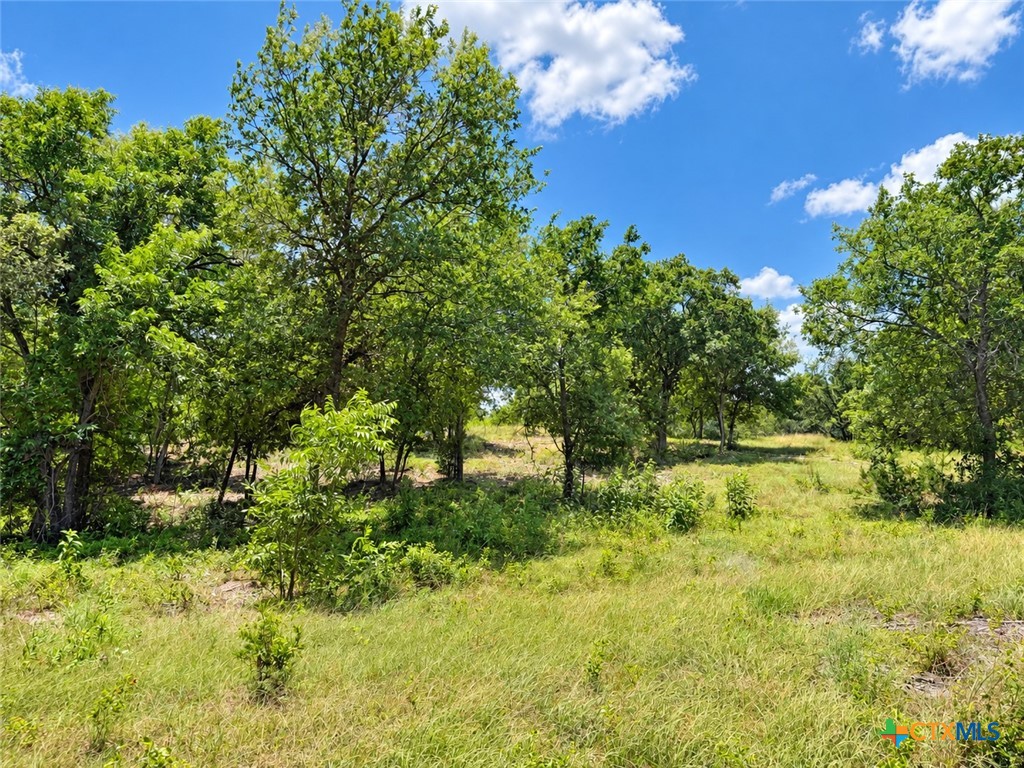 1182 Kenton Parkway Property Photo 7