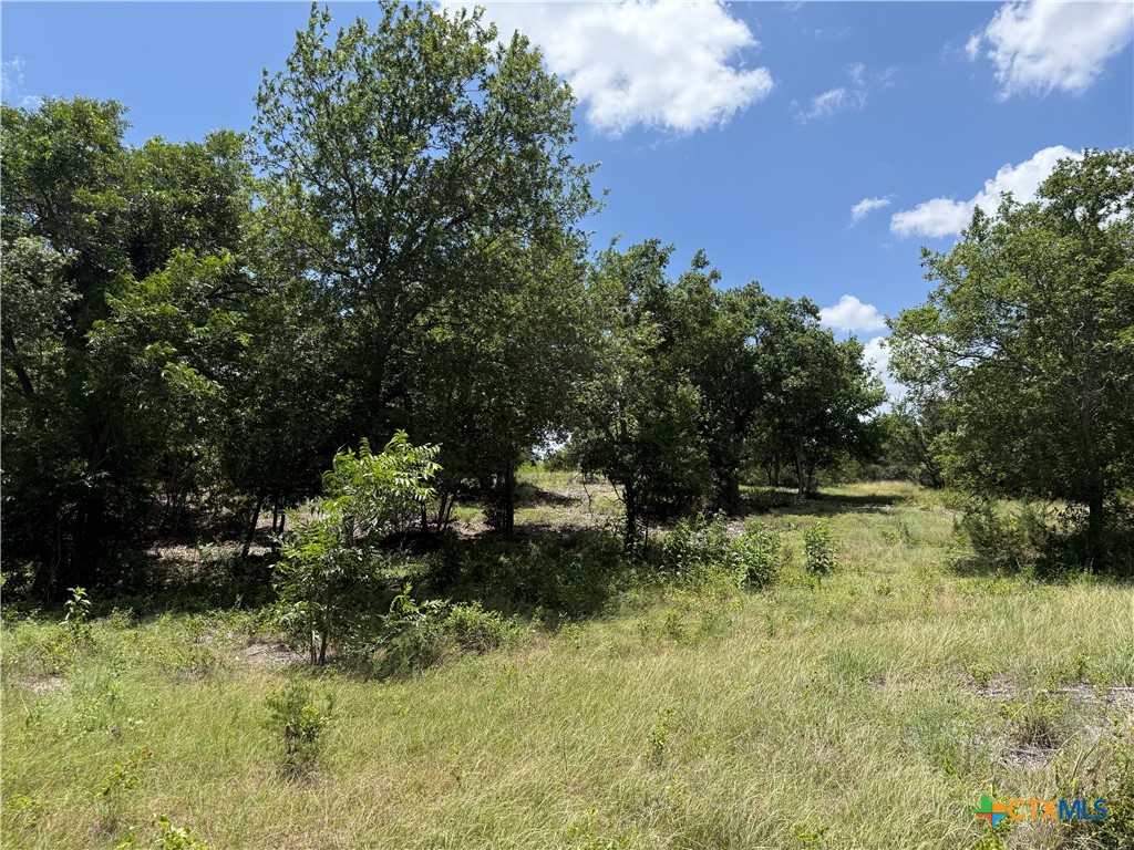 1182 Kenton Parkway Property Photo 8