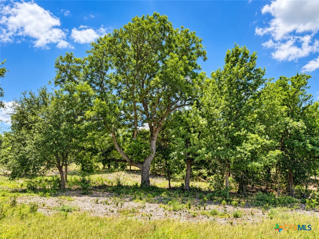 1182 Kenton Parkway Property Photo 10