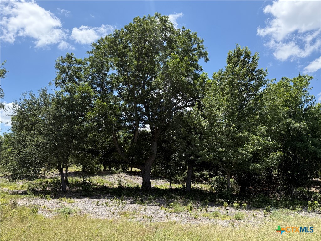 1182 Kenton Parkway Property Photo 11