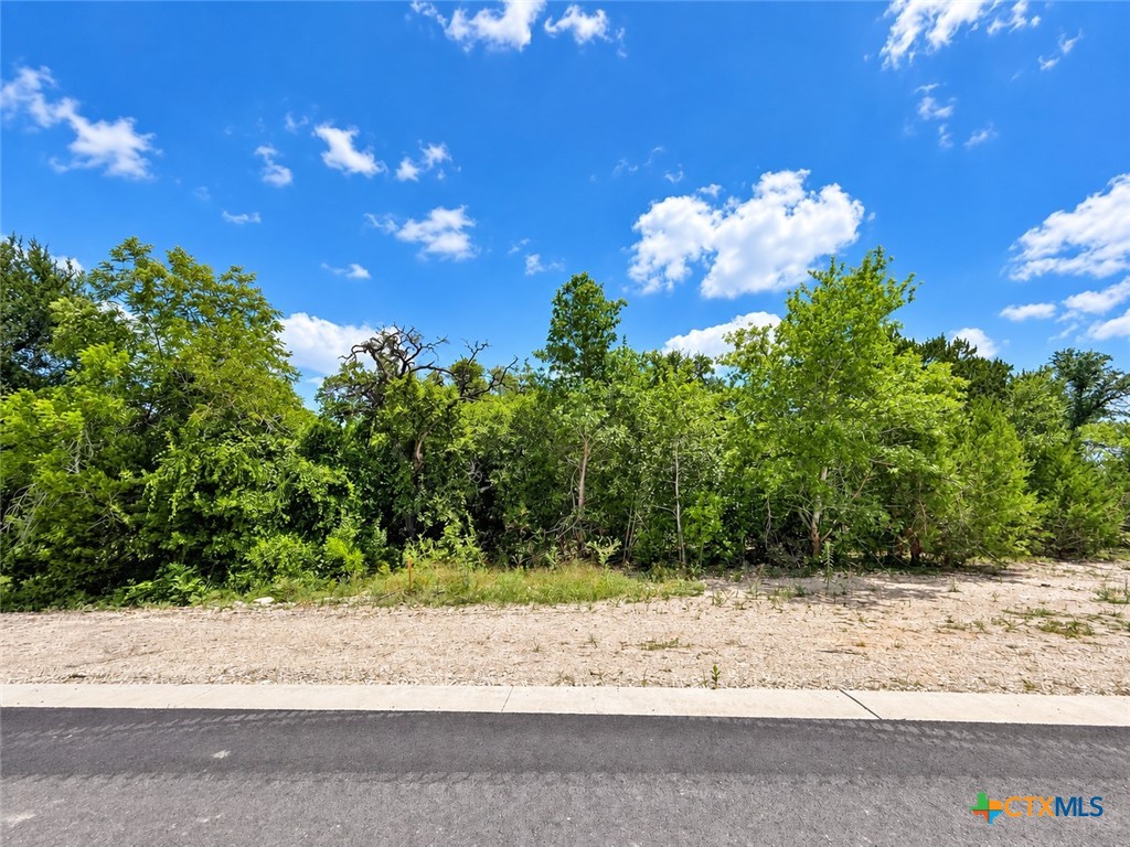 1256 Kenton Parkway Property Photo 4