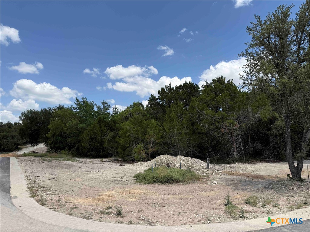 1256 Kenton Parkway Property Photo 6
