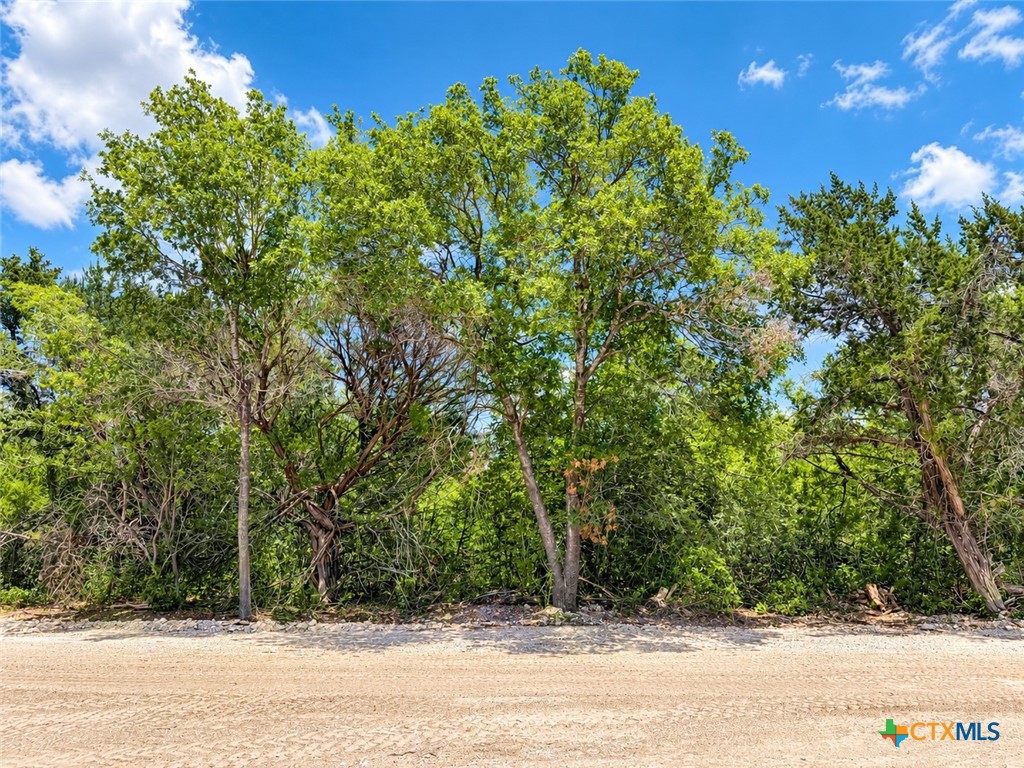 1256 Kenton Parkway Property Photo 6