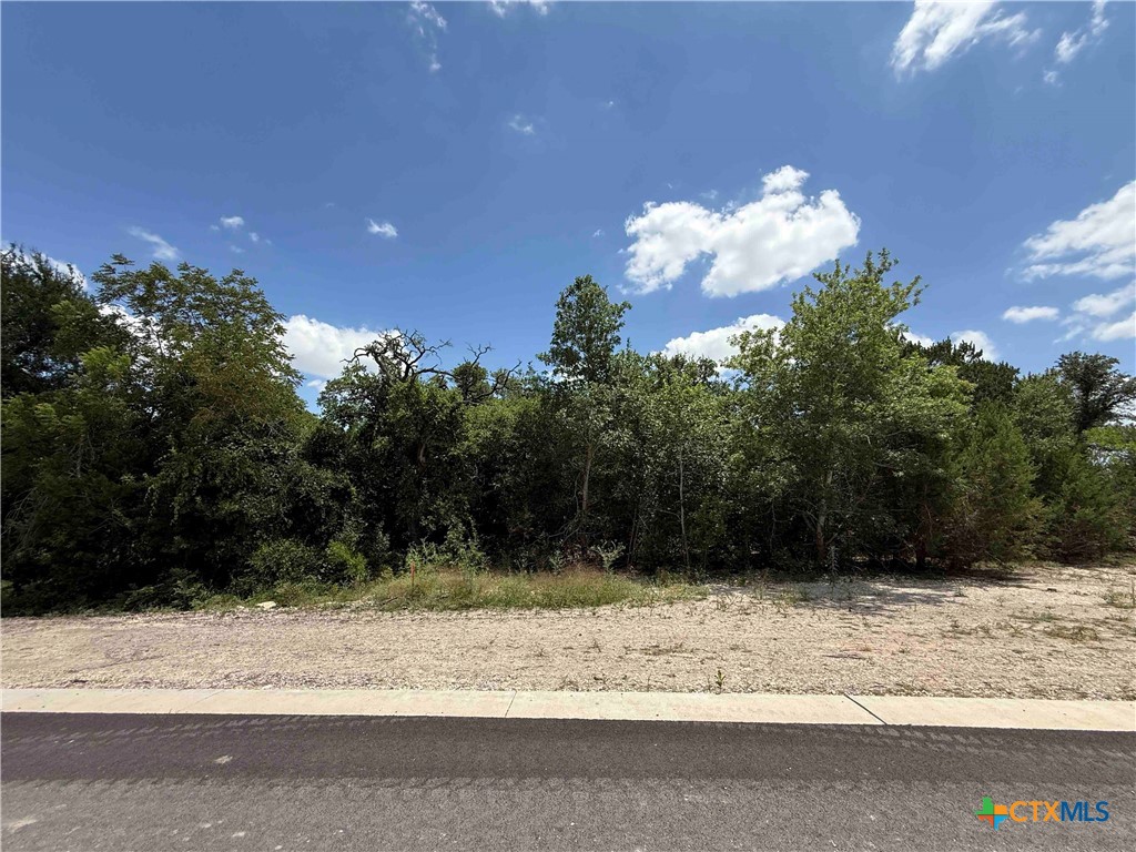 1256 Kenton Parkway Property Photo 7