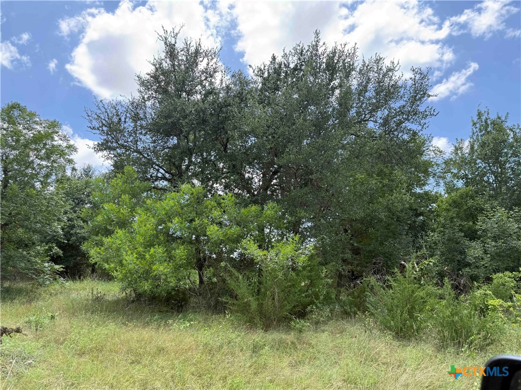 1256 Kenton Parkway Property Photo 11