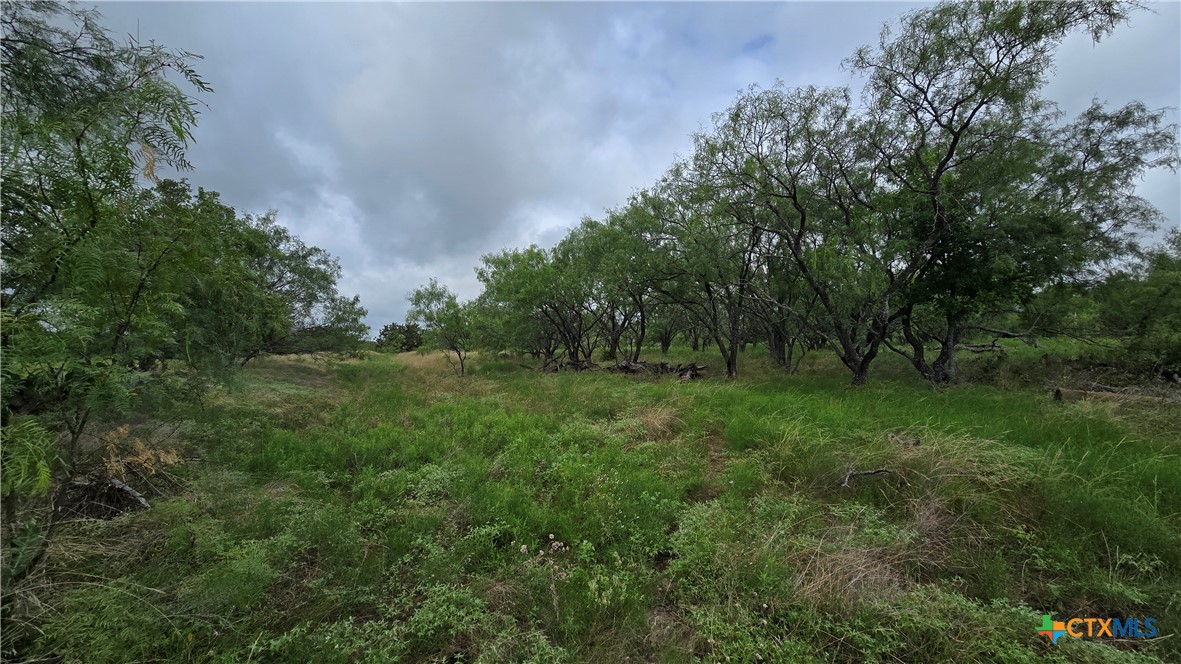 Tbd Country Lane Property Photo 11