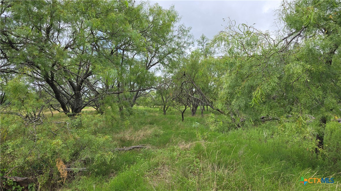 Tbd Country Lane Property Photo 12