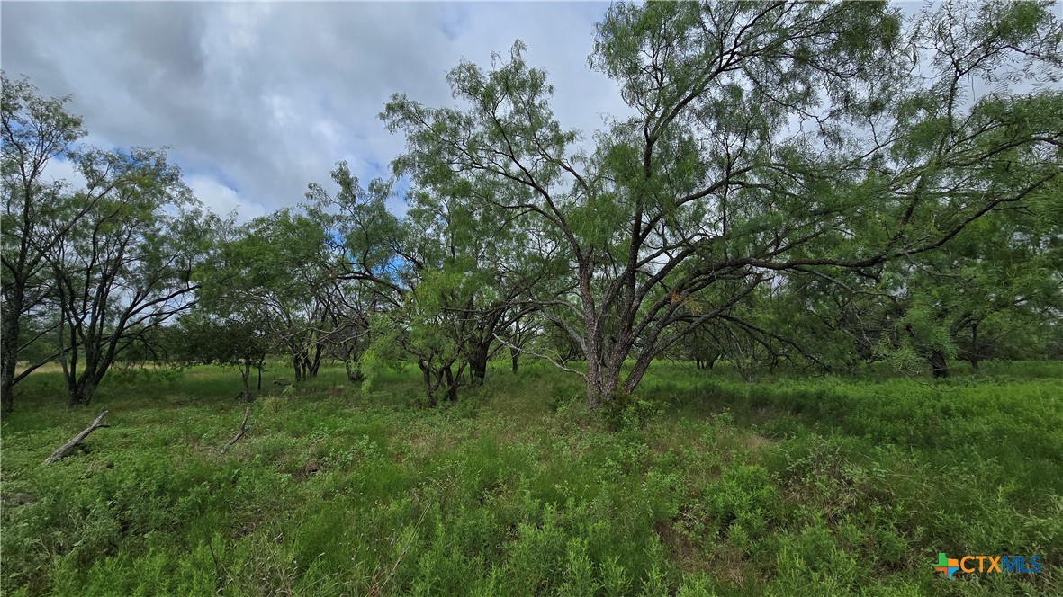 Tbd Country Lane Property Photo 13