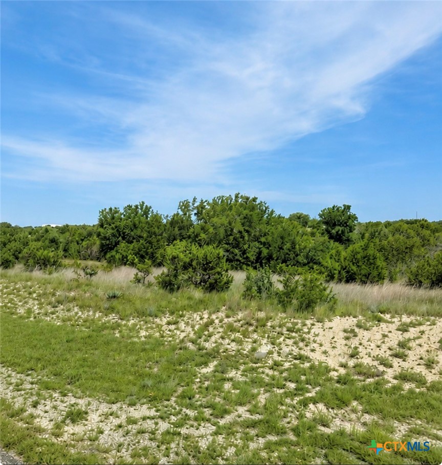 Tbd Fm-580 Property Photo 19