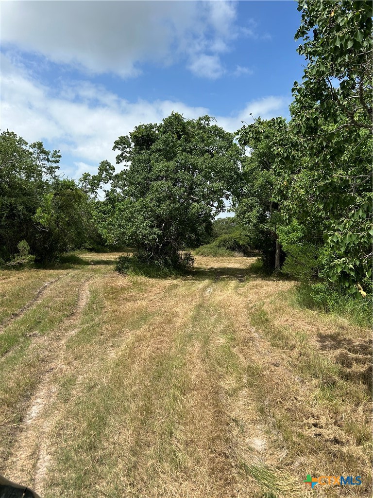 176 Loop Road Property Photo 4