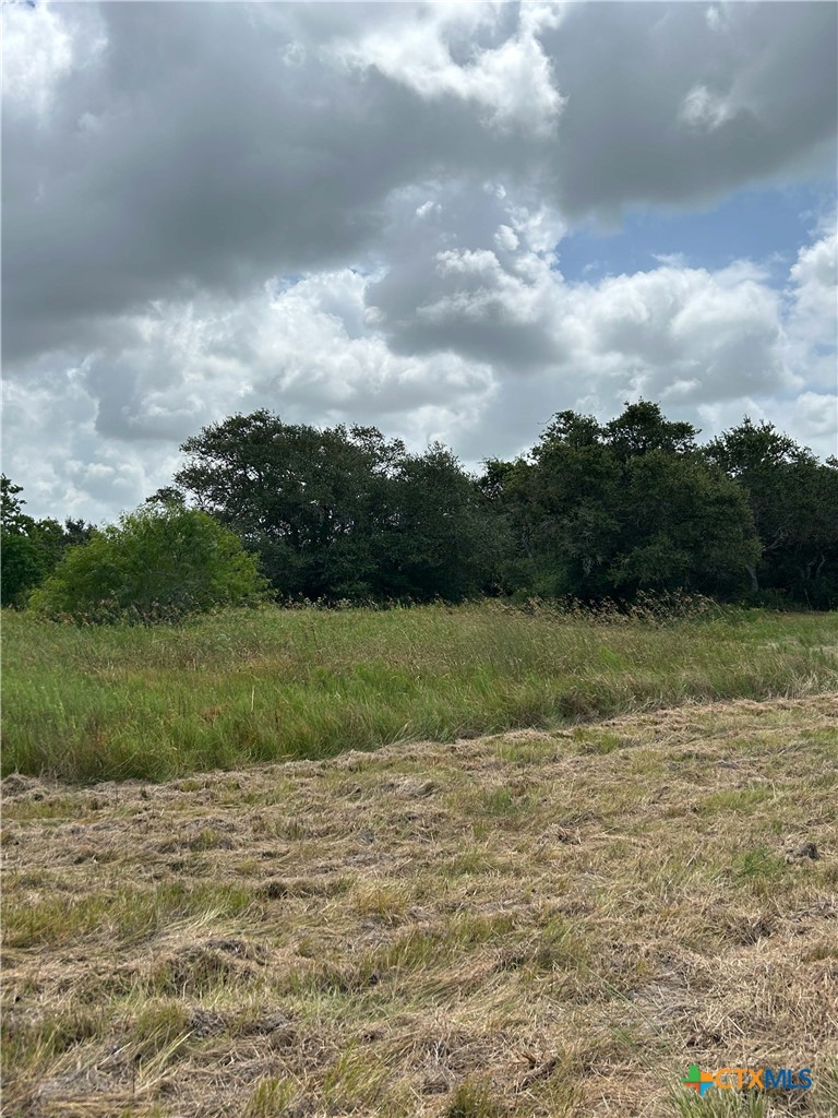 176 Loop Road Property Photo 7