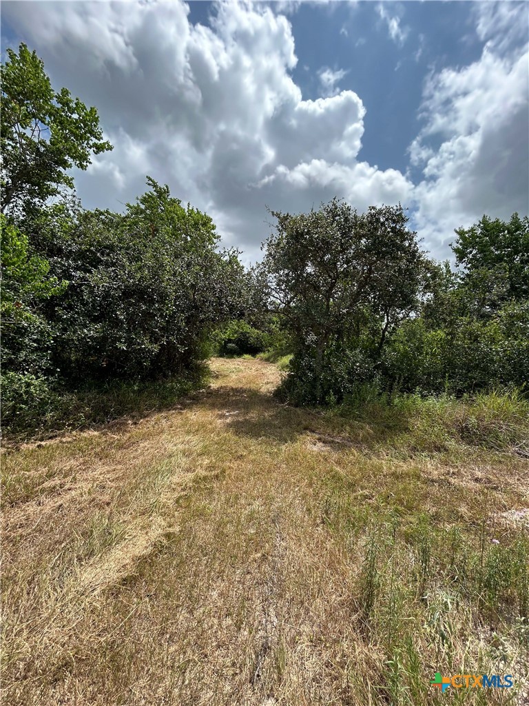 176 Loop Road Property Photo 10