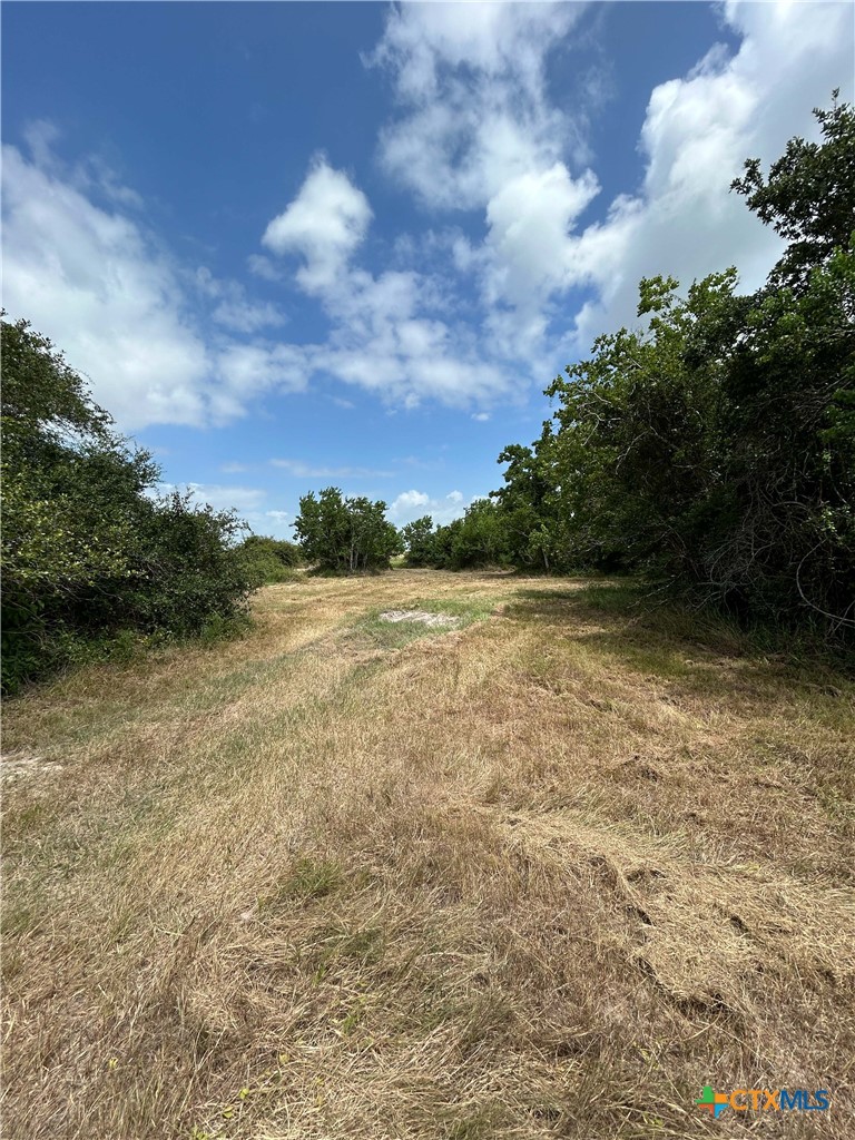 176 Loop Road Property Photo 11