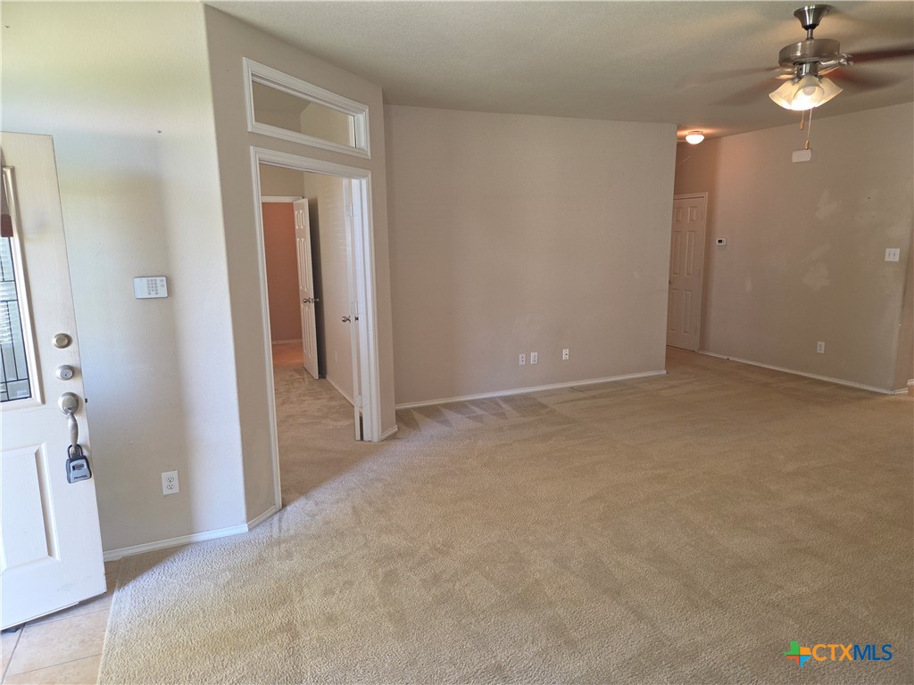 10025 Birch Tree Drive Property Photo 4