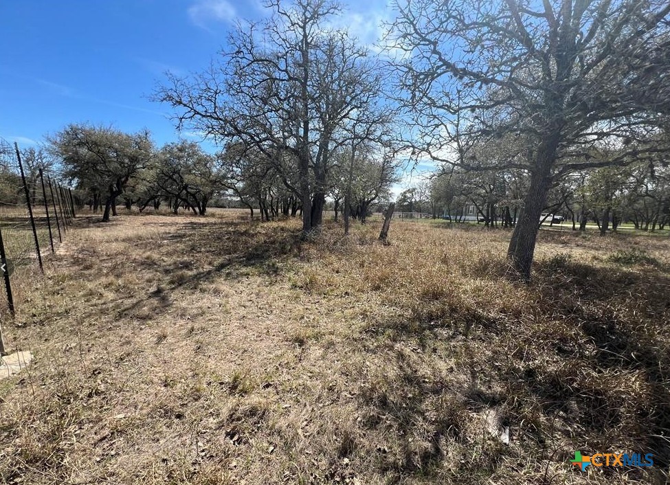443 Private Road 1065 Property Photo 3