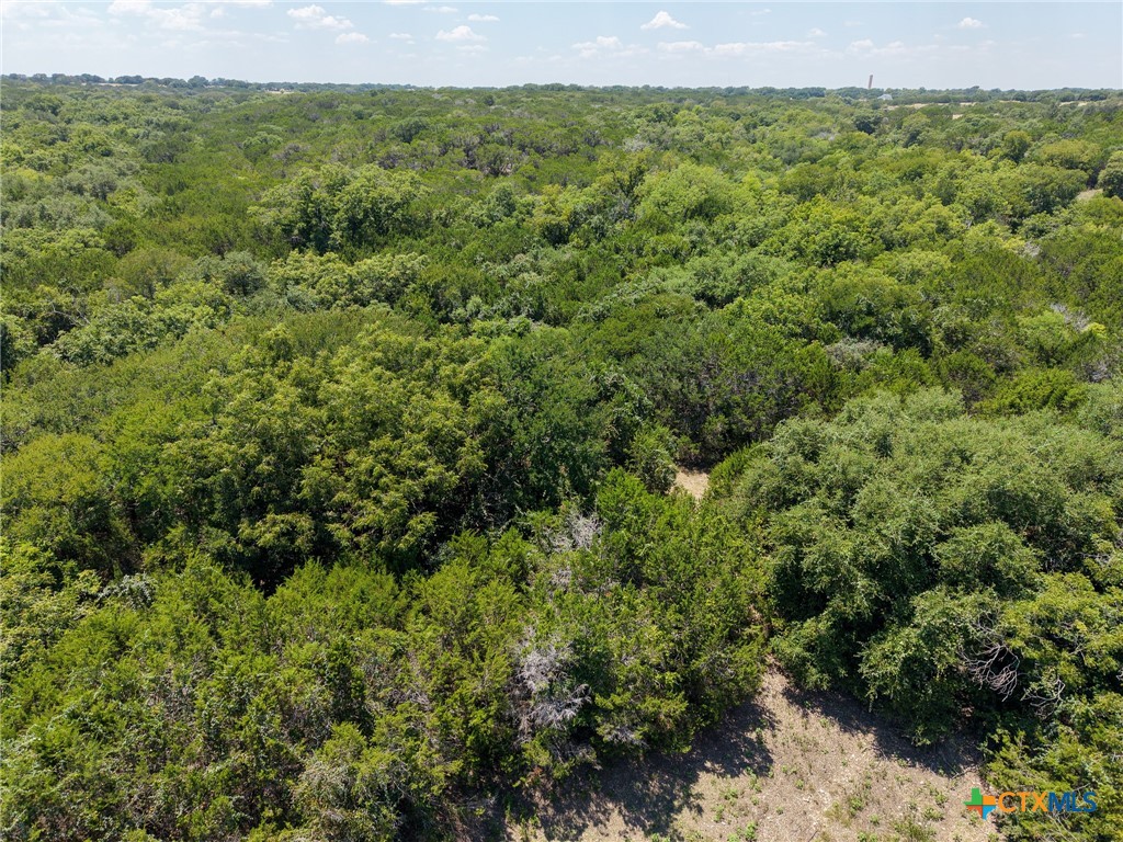 Tbd Greenbriar Road Property Photo 4