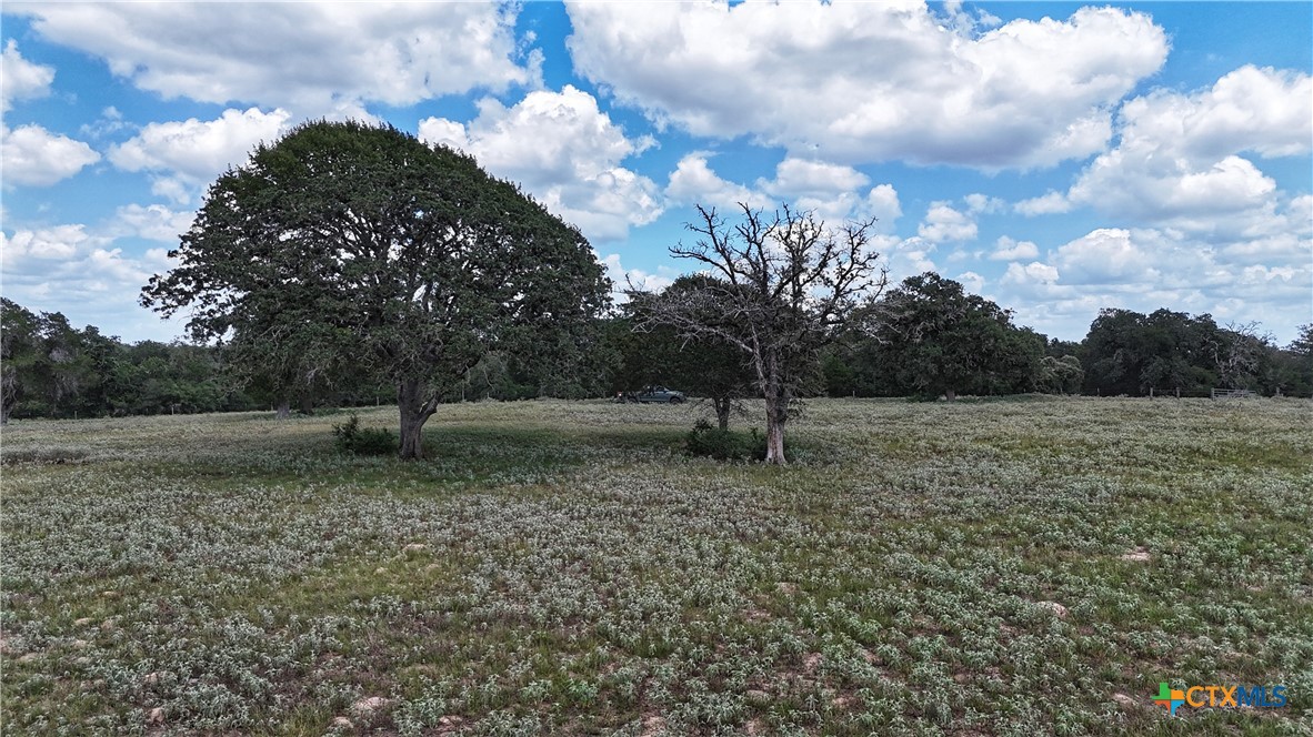 Tbd 10.24 Acres Highway 304 Property Photo 9