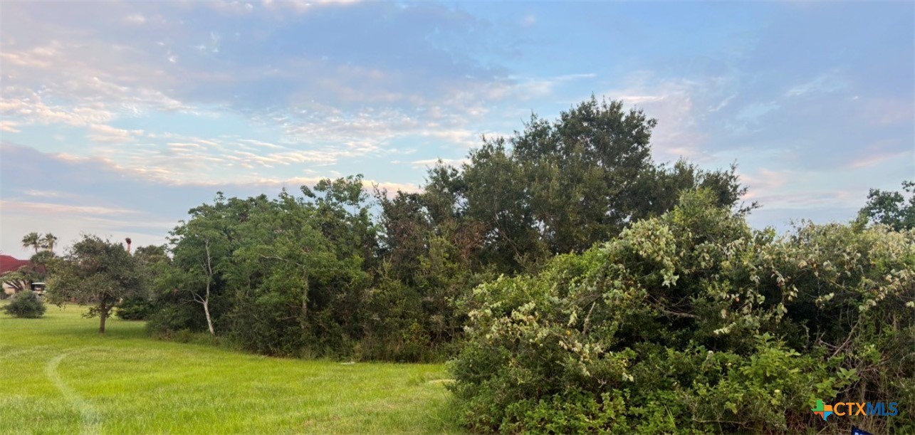 Tbd W Harrison Avenue Property Photo 2