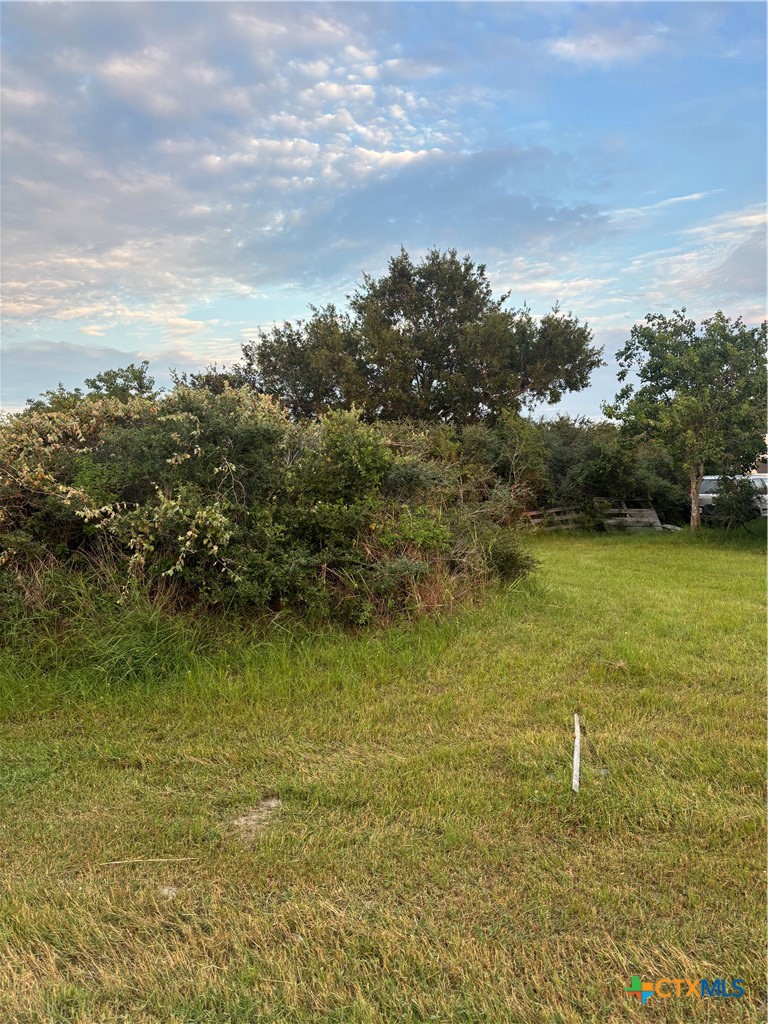 Tbd W Harrison Avenue Property Photo 7