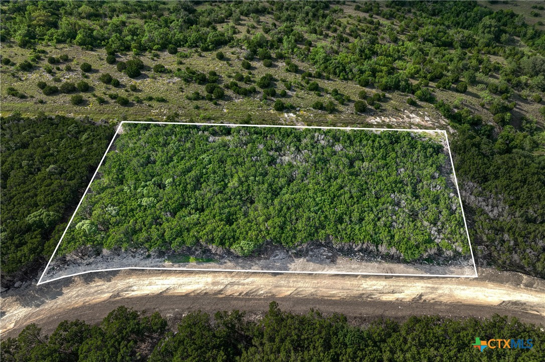 Tbd Tract 19 Hank Williams Way Property Photo 1