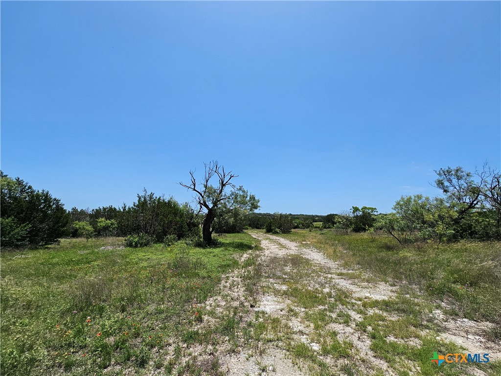Lot 111 Shin Oak Drive Property Photo 6