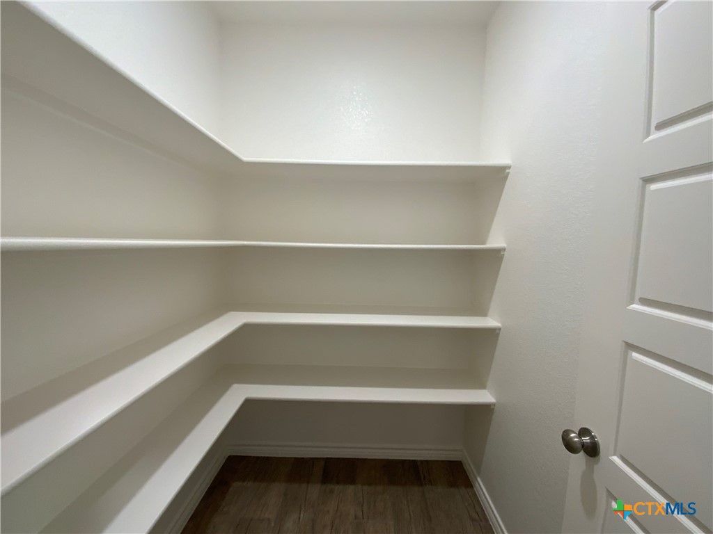 3103 Pistoia Trail Property Photo 19