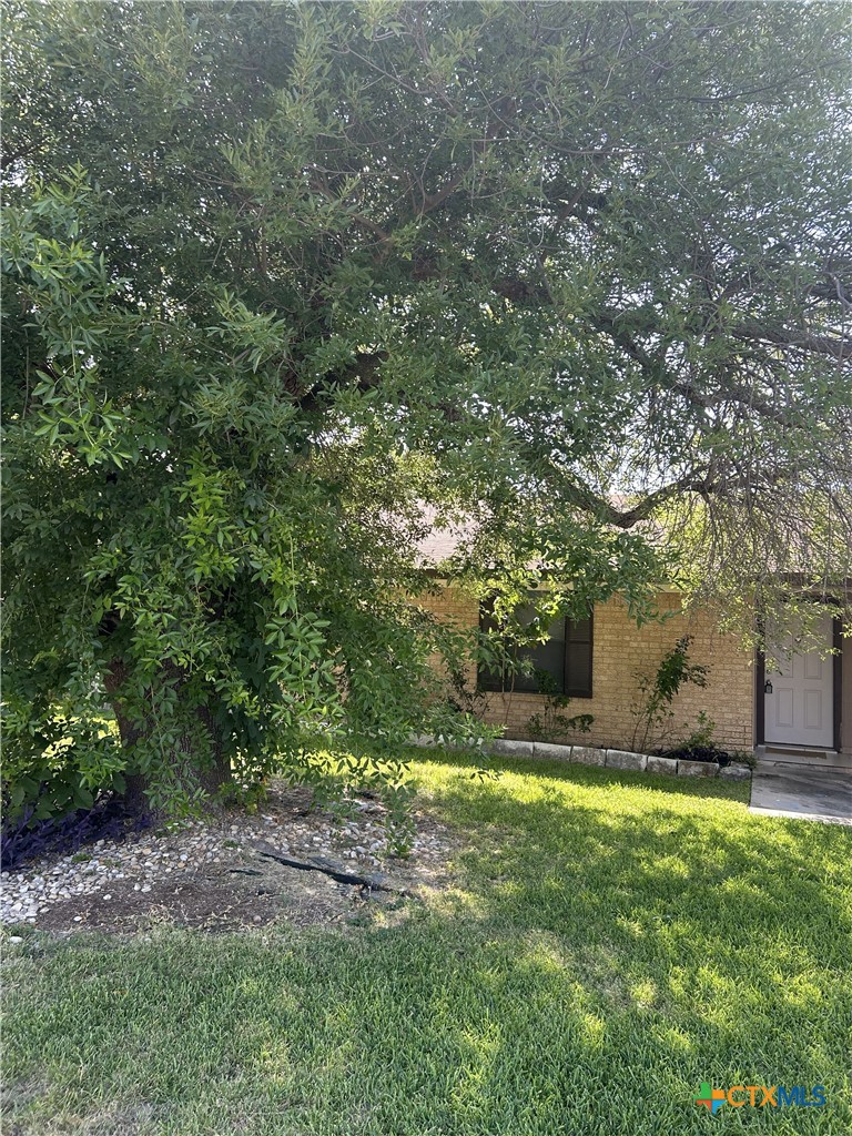 621673 Property Photo 32